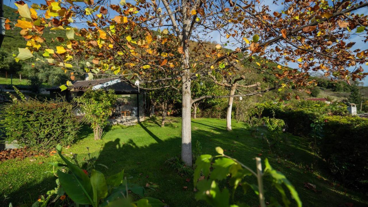 Lago Village House カランバカ エクステリア 写真